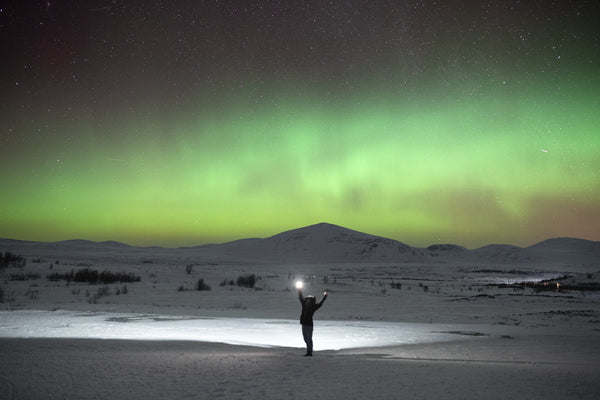In Norvegia alla ricerca del bue muschiato