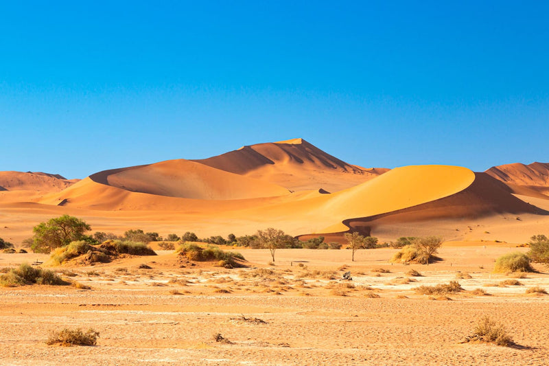 Namibia: il viaggio di Gabriele Mastrilli
