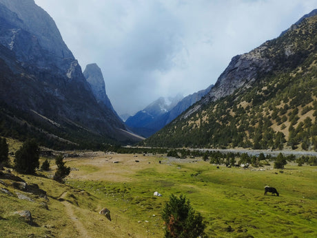 Trekking in Kirghizistan