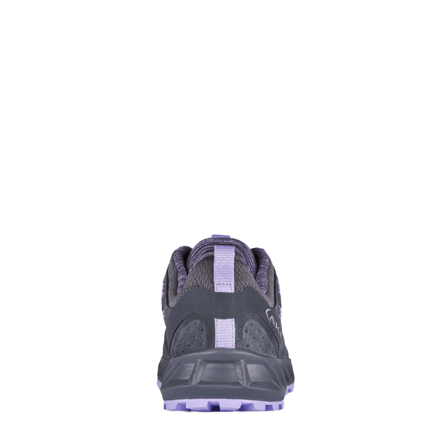 Rapida Evo GTX Ws Grigio Scuro-Viola