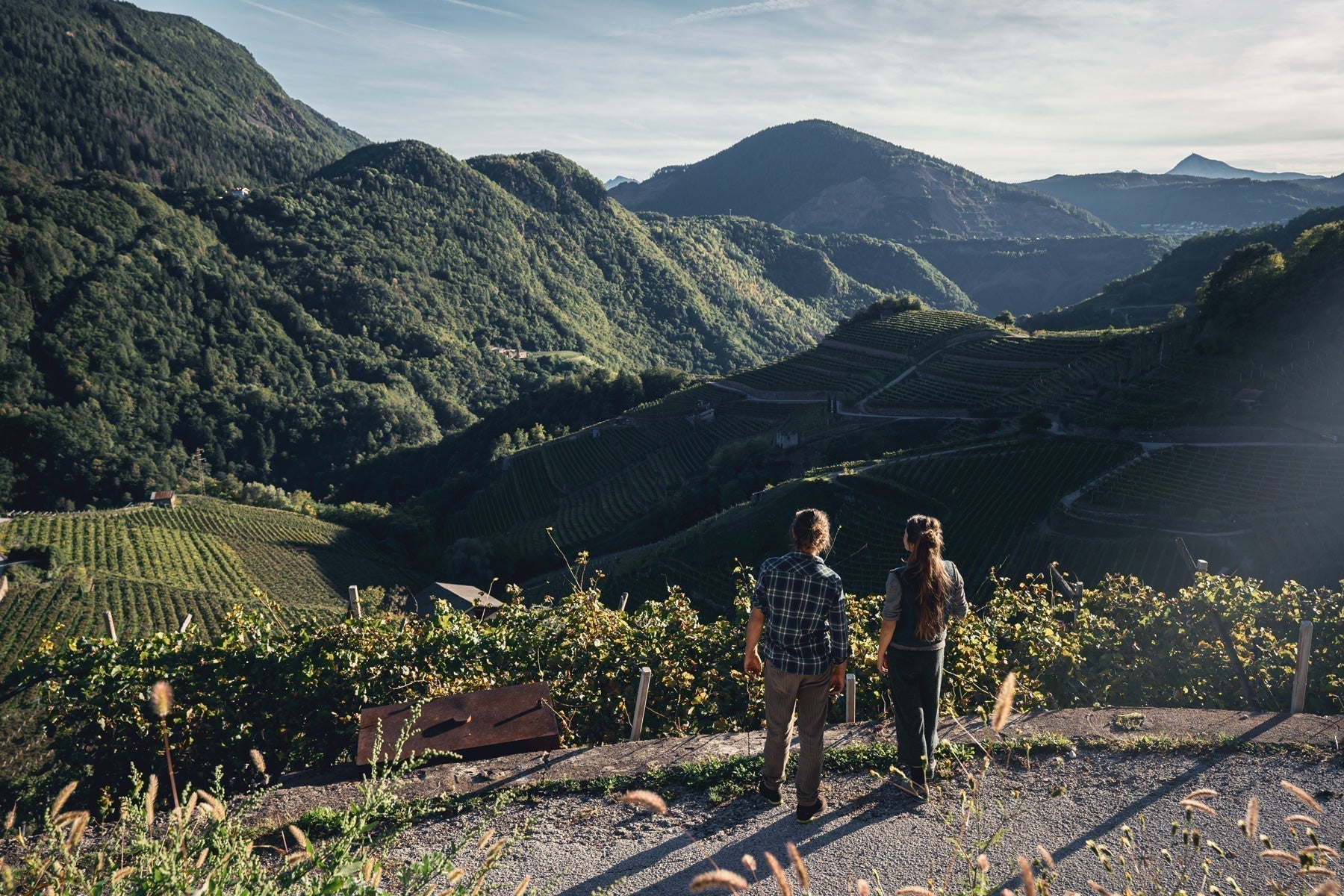 Carbon footprint organization