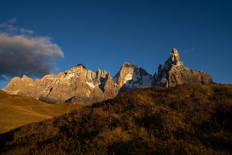 Palaronda