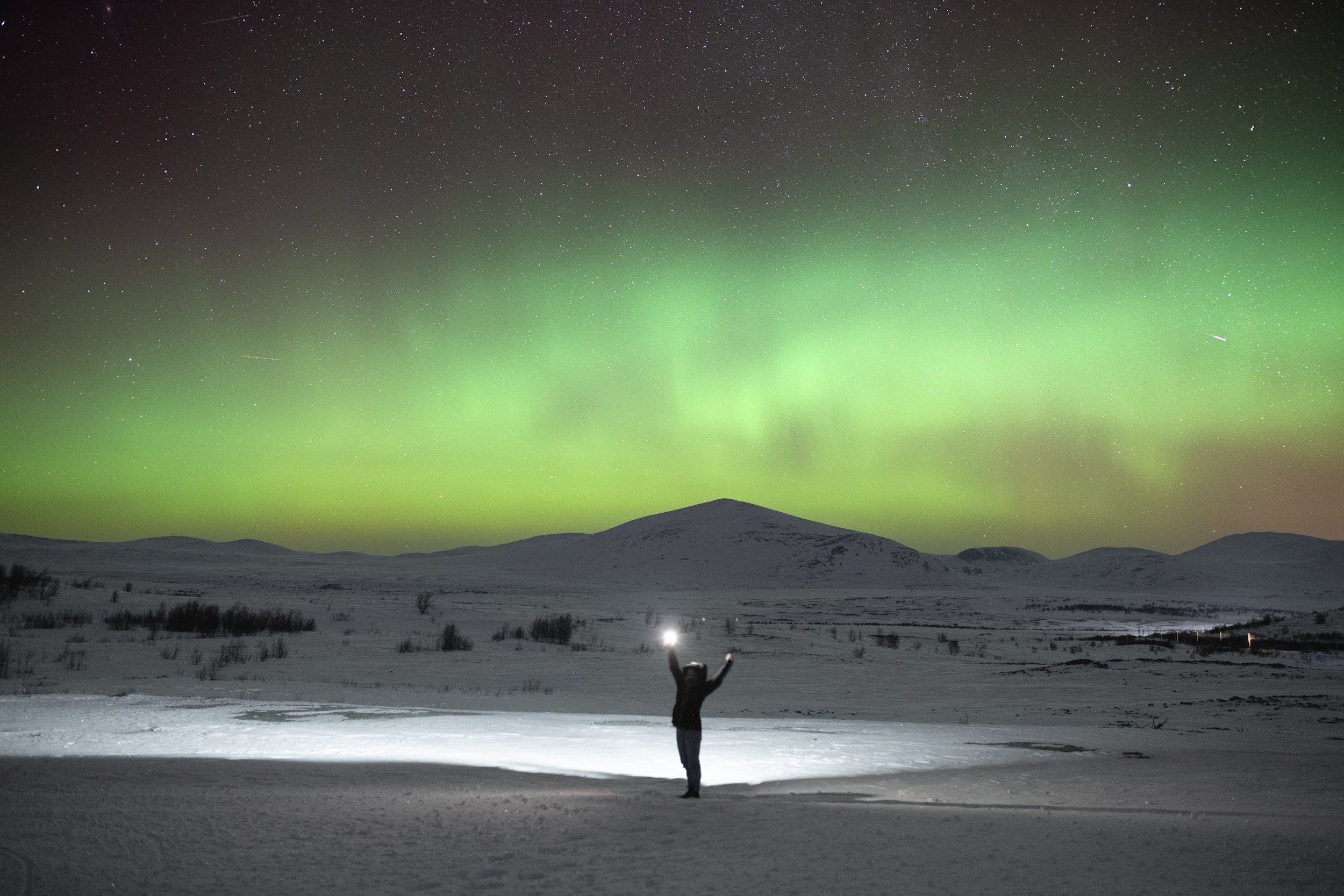 In Norvegia alla ricerca del bue muschiato
