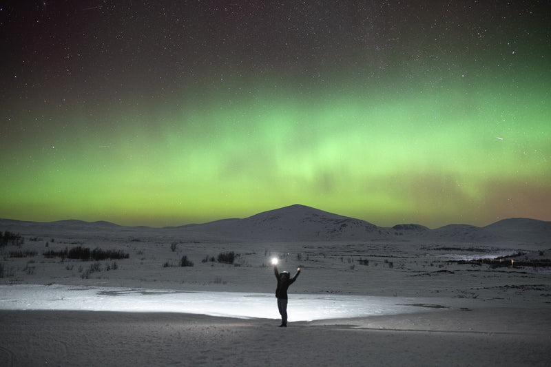 In Norvegia alla ricerca del bue muschiato