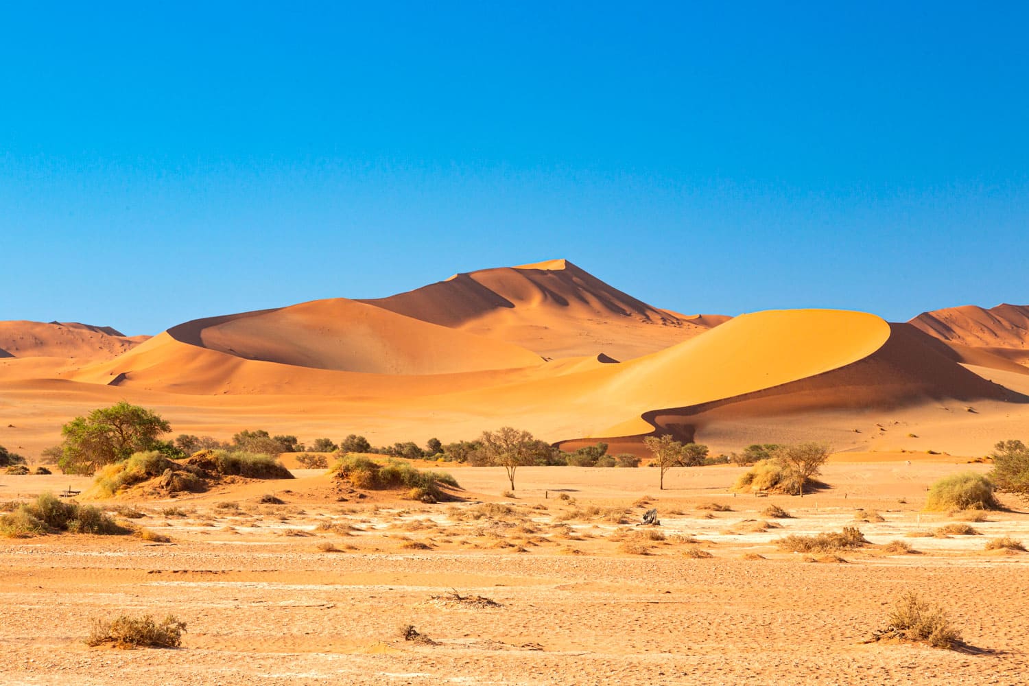 Namibia: il viaggio di Gabriele Mastrilli