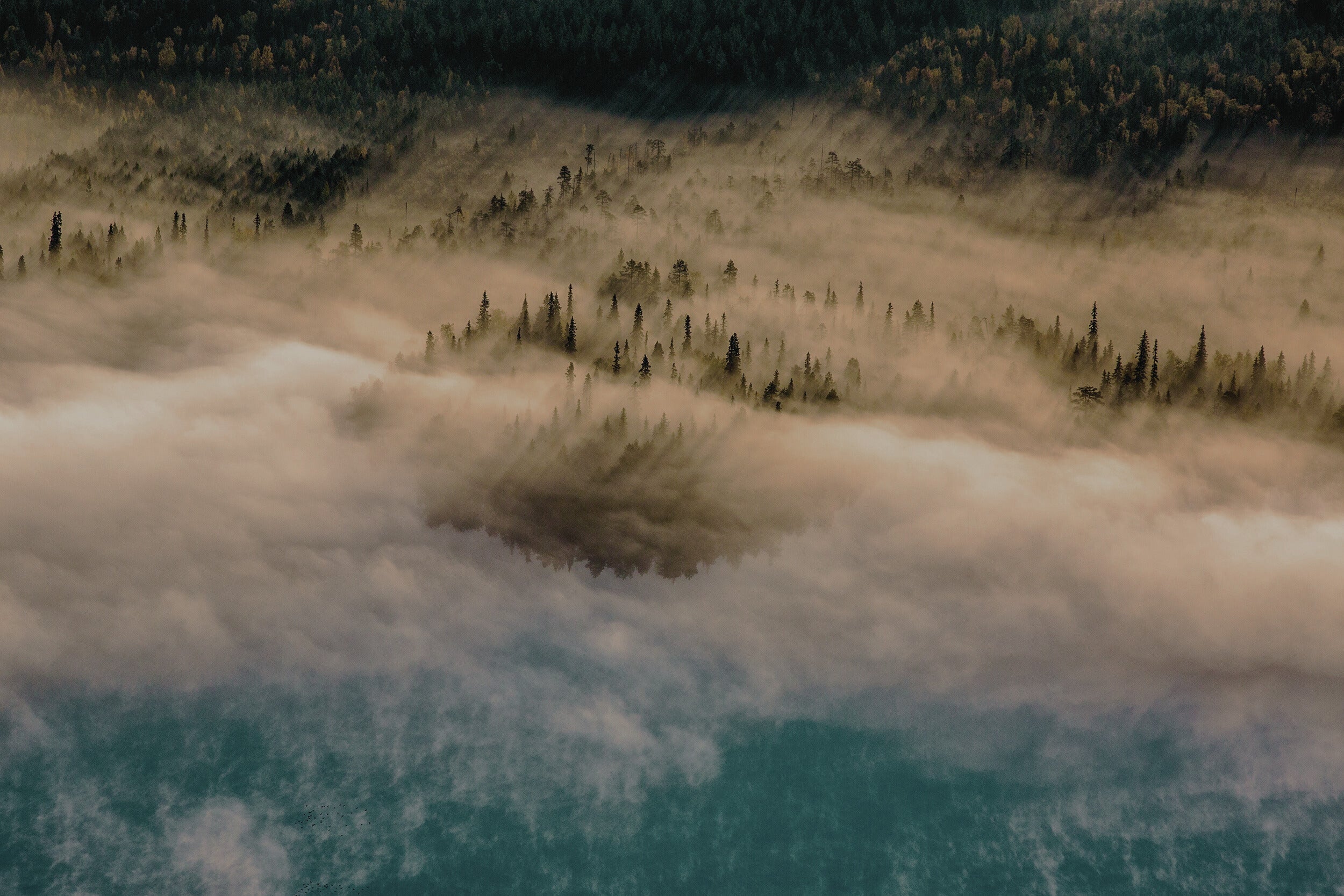 VERSO LA DECARBONIZZAZIONE