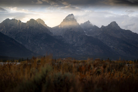 VIAGGIO NELLA NATURA VIVA